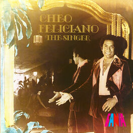 Album cover of The Singer