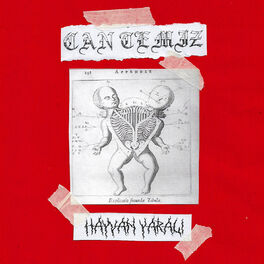 Album cover of Hayvan Yaralı