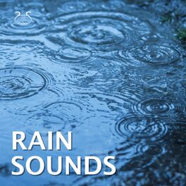 Album cover of Rain Sounds