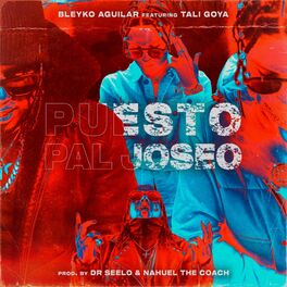 Album cover of Puesto Pal Joseo