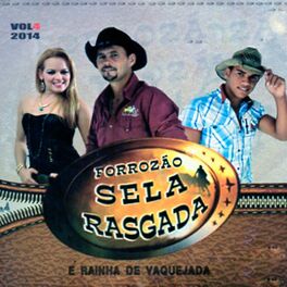 Album cover of É Rainha de Vaquejada, Vol. 4