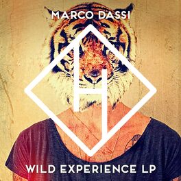 Album cover of Wild Experience
