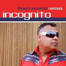 Album cover of Bluey's Essential Remixes