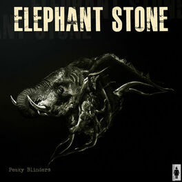 Album cover of Elephant Stone