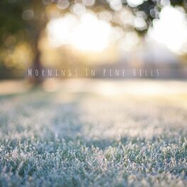 Album cover of Mornings In Pine Hills