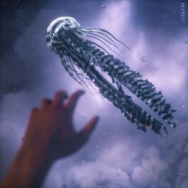 Album cover of Strider
