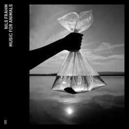 Album cover of Music for Animals