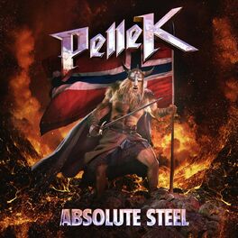 Album cover of Absolute Steel