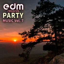 Album cover of Edm Records Party Music, Vol. 7