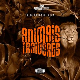 Album cover of Animais Traidores