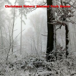 Album cover of Christmas Nature Minimal Tech House