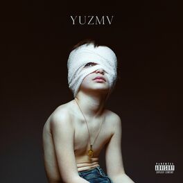 Album cover of Yuzmv