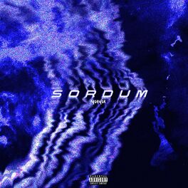 Album cover of Sordum (feat. Beyjan Beatz)