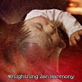Album cover of 40 Lightning Zen Harmony