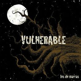 Album cover of Vulnerable
