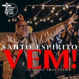 Album cover of Santo Espiríto Vem