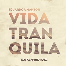 Album picture of Vida Tranquila (Remix)