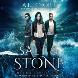 Album cover of Salt & Stone - Audiobook