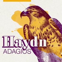 Album cover of Haydn Adagios