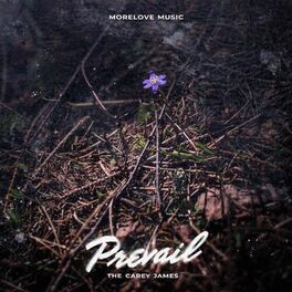 Album cover of Prevail