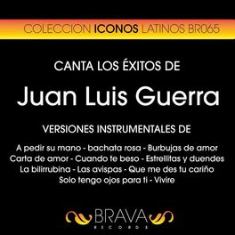 Album cover of Canta los Exitos de Juan Luis Guerra