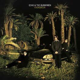 Album cover of Evergreen (25 Year Anniversary Edition)