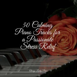 Album cover of 50 Calming Piano Tracks for a Passionate Stress Relief