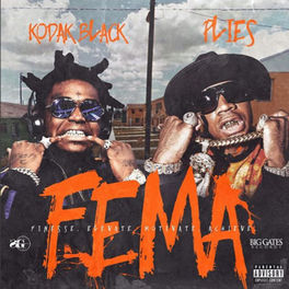 Album cover of FEMA (Finesse Elevate Motivate Achieve)