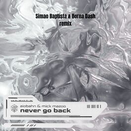 Album cover of Never Go Back (feat. Borna dash, Aiobahn & Mick Mazoo) [Remix]
