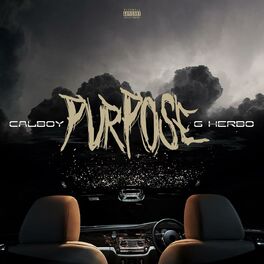 Album cover of Purpose (feat. G Herbo)