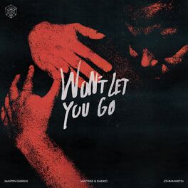 Album cover of Won’t Let You Go