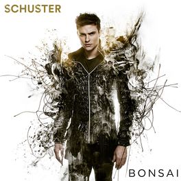Album cover of Bonsai
