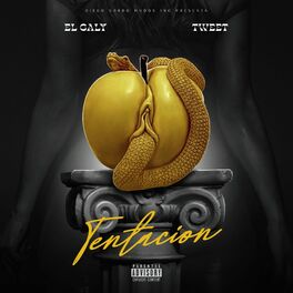 Album cover of Tentacion (feat. Tweet)