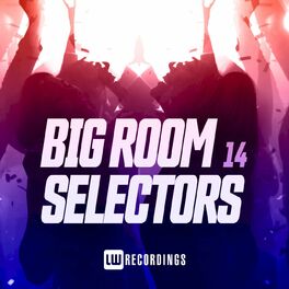 Album cover of Big Room Selectors, 14