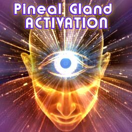 Album cover of Pineal Gland Activation