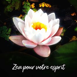Album cover of Zen pour votre esprit: Des sons de guérison pour élever les vibrations de votre âme, Méditation éthérée pour trouver votre zen