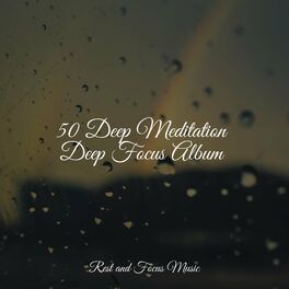 Album cover of 50 Deep Meditation Deep Focus Album