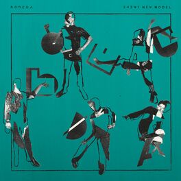 Album cover of Shiny New Model