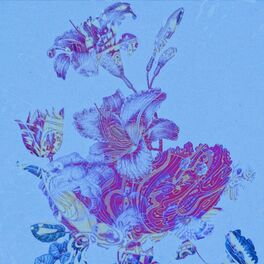 Album cover of NÃO FAZ ASSIM