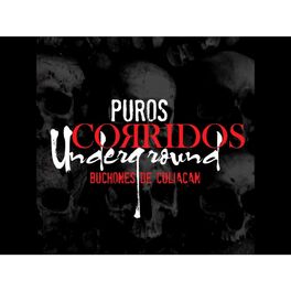 Album cover of Puros Corridos Underground