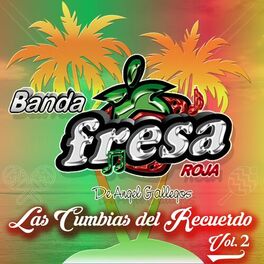 Album cover of Las Cumbias del Recuerdo, Vol. 2
