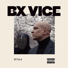 Album cover of BX Vice