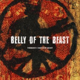 Album cover of Belly Of The Beast
