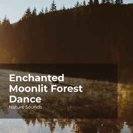 Album cover of Enchanted Moonlit Forest Dance