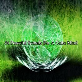 Album cover of 54 Peaceful Sounds For A Calm Mind