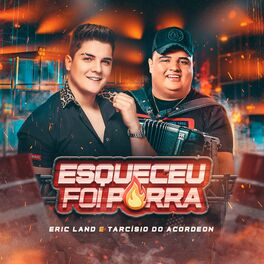 Album cover of Esqueceu Foi Porra