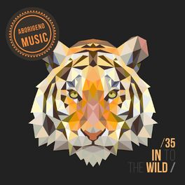 Album cover of In To The Wild - Vol.35