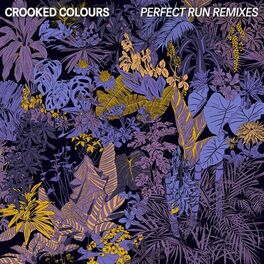 Album cover of Perfect Run (Remixes)