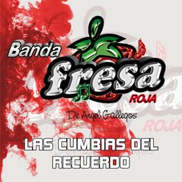 Album cover of Las Cumbias del Recuerdo