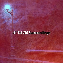 Album cover of 41 Tai Chi Surroundings